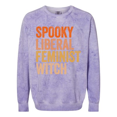 Spooky Liberal Feminist Witch Feminist Halloween Costume Cute Gift Colorblast Crewneck Sweatshirt