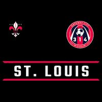 St Louis Gateway Arch Skyline 314 Fleur De Lis Badge Banner Backpack