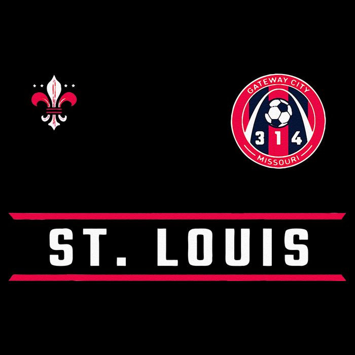 St Louis Gateway Arch Skyline 314 Fleur De Lis Badge Banner Backpack