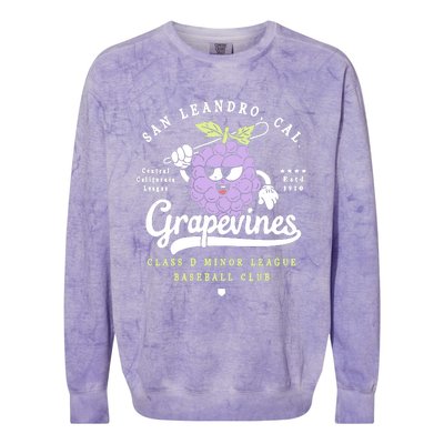 San Leandro Grapevines California Vintage Defunct Baseball Teams Colorblast Crewneck Sweatshirt