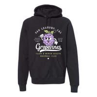 San Leandro Grapevines California Vintage Defunct Baseball Teams Premium Hoodie