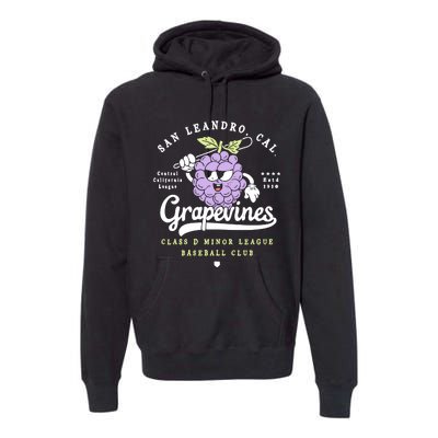 San Leandro Grapevines California Vintage Defunct Baseball Teams Premium Hoodie