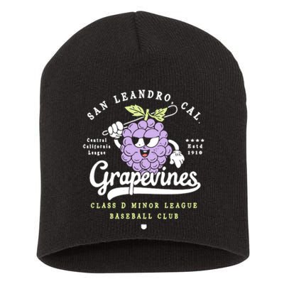 San Leandro Grapevines California Vintage Defunct Baseball Teams Short Acrylic Beanie