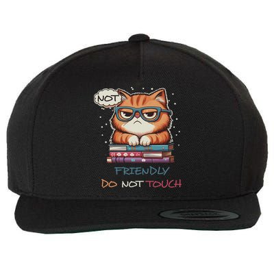 Sarcastic Loner Introvert Not A Friendly Do Not Touchs Wool Snapback Cap