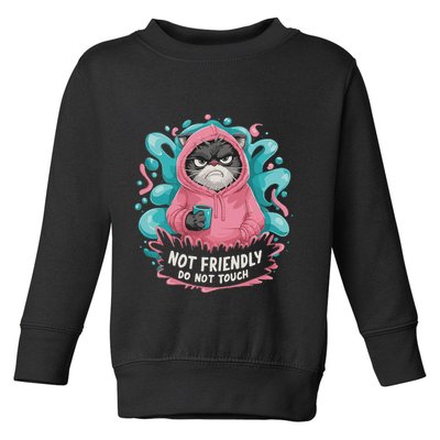 Sarcastic Loner Introvert Clothing Not Friendly Do Not Touch Toddler Sweatshirt
