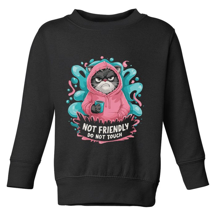 Sarcastic Loner Introvert Clothing Not Friendly Do Not Touch Toddler Sweatshirt