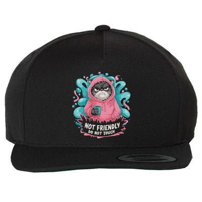 Sarcastic Loner Introvert Clothing Not Friendly Do Not Touch Wool Snapback Cap