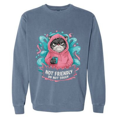 Sarcastic Loner Introvert Clothing Not Friendly Do Not Touch Garment-Dyed Sweatshirt
