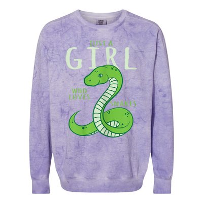 Snake Lover Just A Girl Who Loves Snakes Colorblast Crewneck Sweatshirt