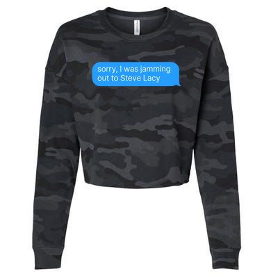 Steve Lacy Merch Cropped Pullover Crew