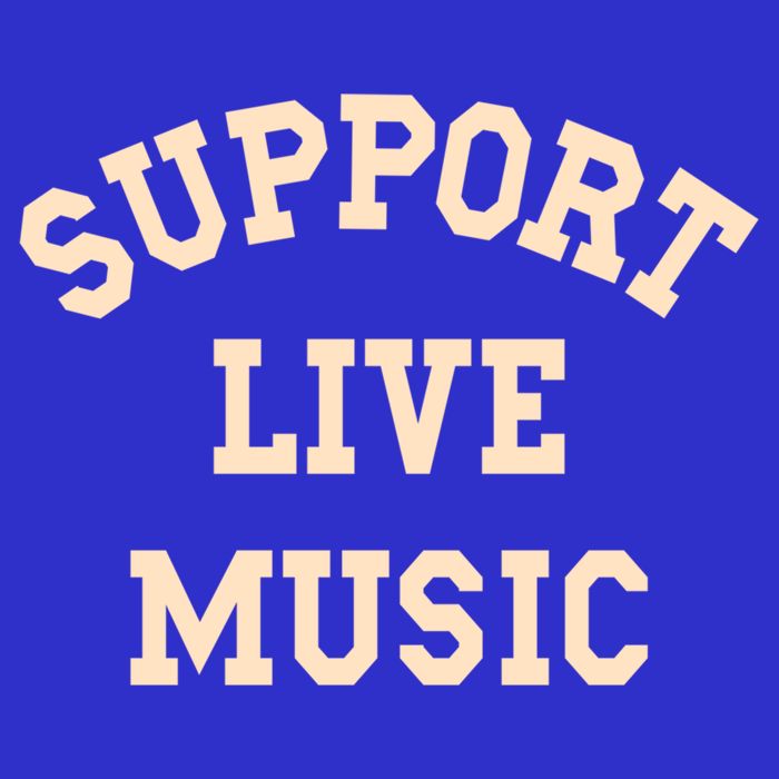 Support Live Music Musicians Concertgoers Music Lovers Gift Premium T-Shirt