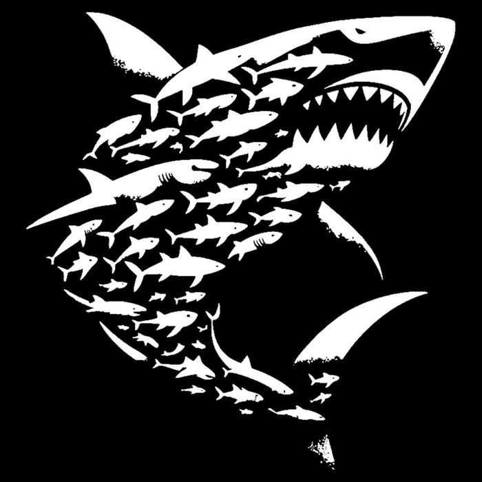 Shark Lover Marine Biology Animal Science Hoodie