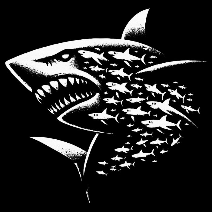 Sharks Lover Marine Biology Science Shark Flatbill Hat