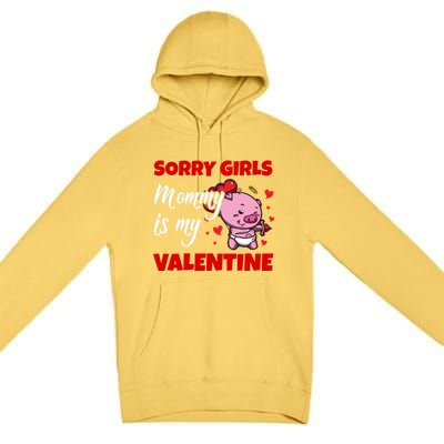 Sorry Ladies Mommy Is My Valentine Cute Pig Cupid Gift Premium Pullover Hoodie