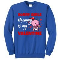 Sorry Ladies Mommy Is My Valentine Cute Pig Cupid Gift Sweatshirt