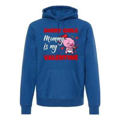 Sorry Ladies Mommy Is My Valentine Cute Pig Cupid Gift Premium Hoodie