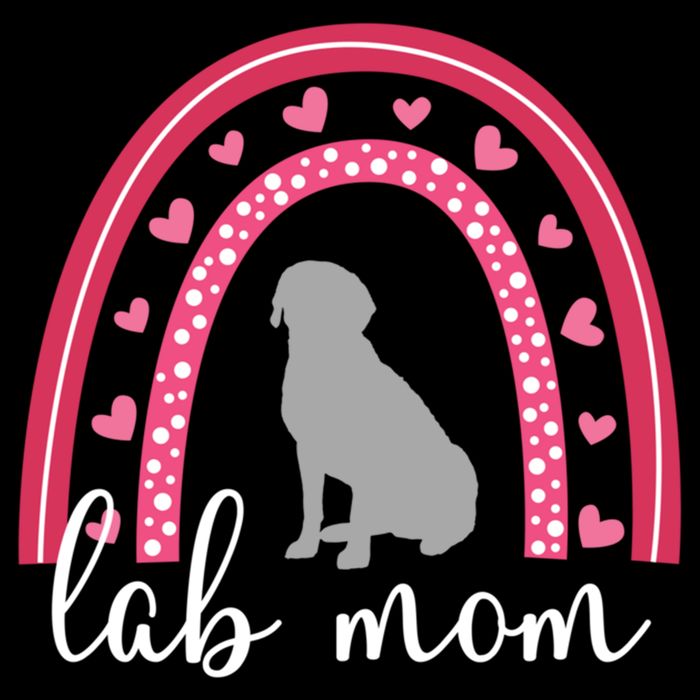 Silver Lab Mom ValentineS Day Labrador Rainbow Cool Gift Bucket Hat