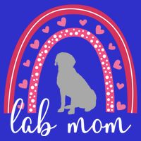 Silver Lab Mom ValentineS Day Labrador Rainbow Cool Gift Tall T-Shirt
