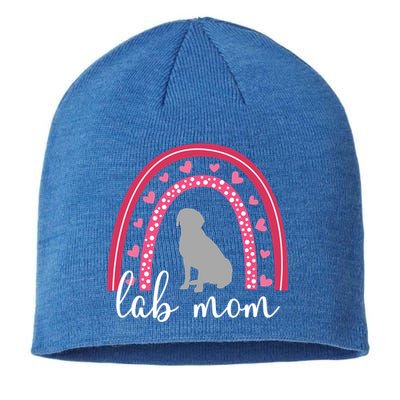 Silver Lab Mom ValentineS Day Labrador Rainbow Cool Gift Sustainable Beanie