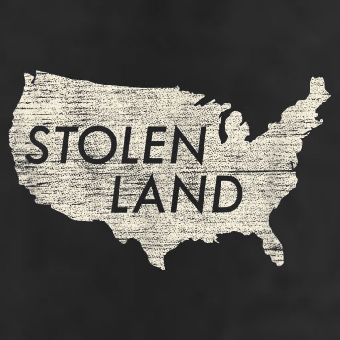 Stolen Land Native American Indigenous Cool Comfort Performance Bucket Hat