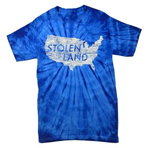 Stolen Land Native American Indigenous Tie-Dye T-Shirt