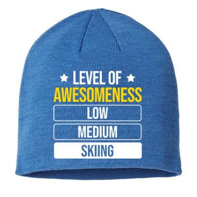 Ski Level Of Awesoess Skiing Gift Sustainable Beanie