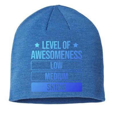 Ski Level Of Awesoess Skiing Cute Gift Sustainable Beanie