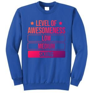 Ski Level Of Awesoess Skiing Cute Gift Sweatshirt