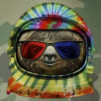 Sloth Astronaut 3D Legacy Tie Dye Trucker Hat