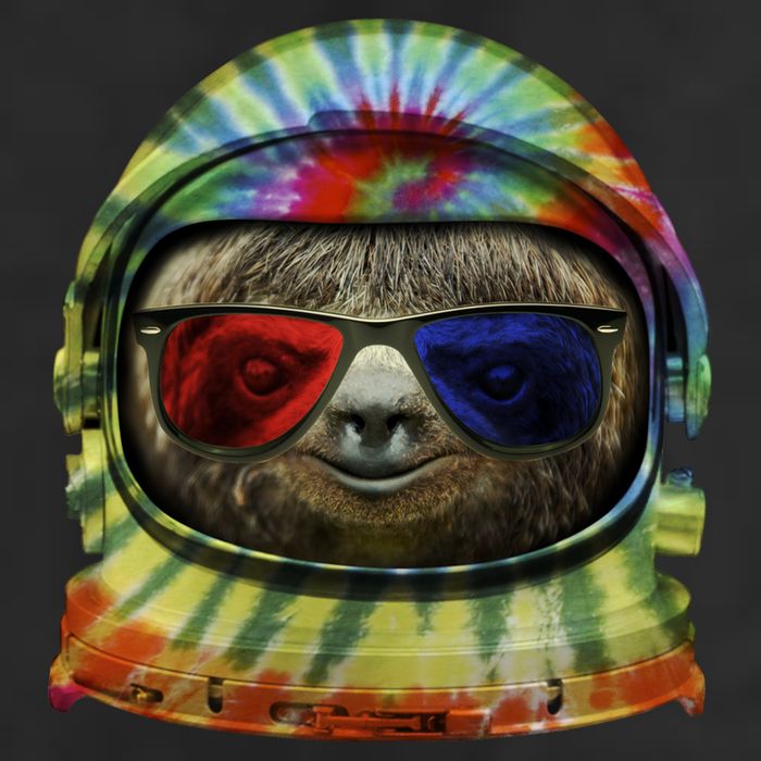 Sloth Astronaut 3D Tumbler