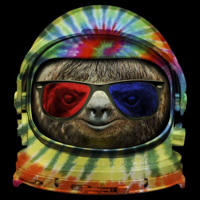 Sloth Astronaut 3D Toddler Sweatshirt