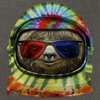 Sloth Astronaut 3D Cotton Canvas Backpack