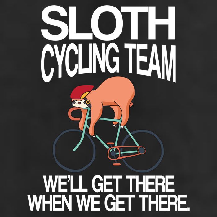Sloth Cycling Team Adult Drive Performance Visor
