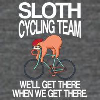 Sloth Cycling Team Hoodie