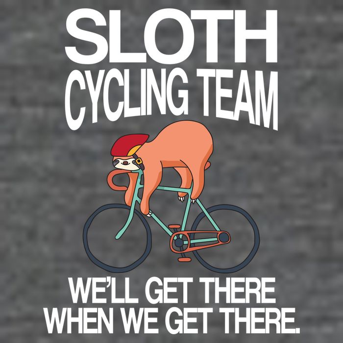Sloth Cycling Team Hoodie