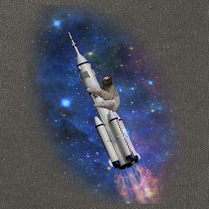 Sloth In Space Rocket ship Cotton Canvas Backpack