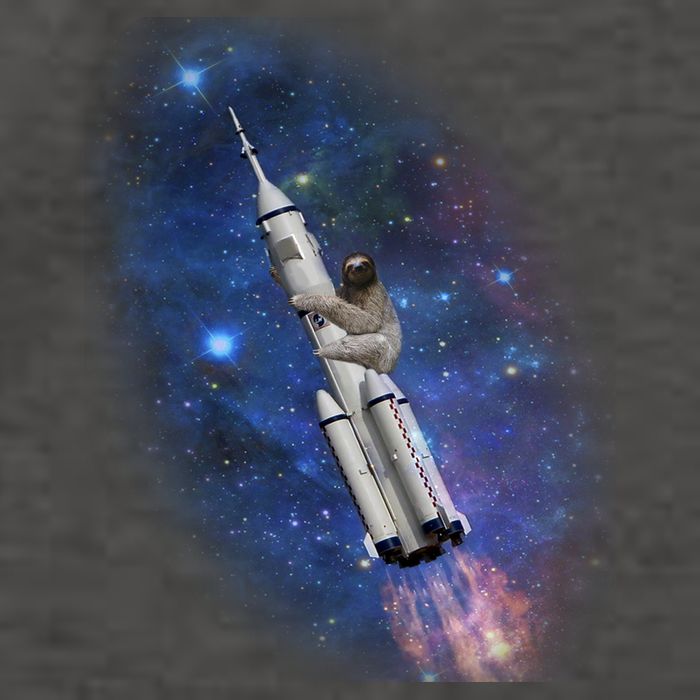 Sloth In Space Rocket ship Vector Backpack