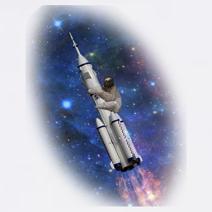 Sloth In Space Rocket ship Garment-Dyed Sweatshirt