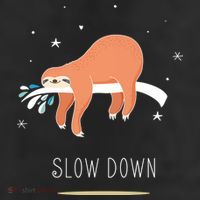Sloth Slow Down 11oz C Handle Ceramic Mug