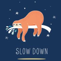Sloth Slow Down Kids T-Shirt