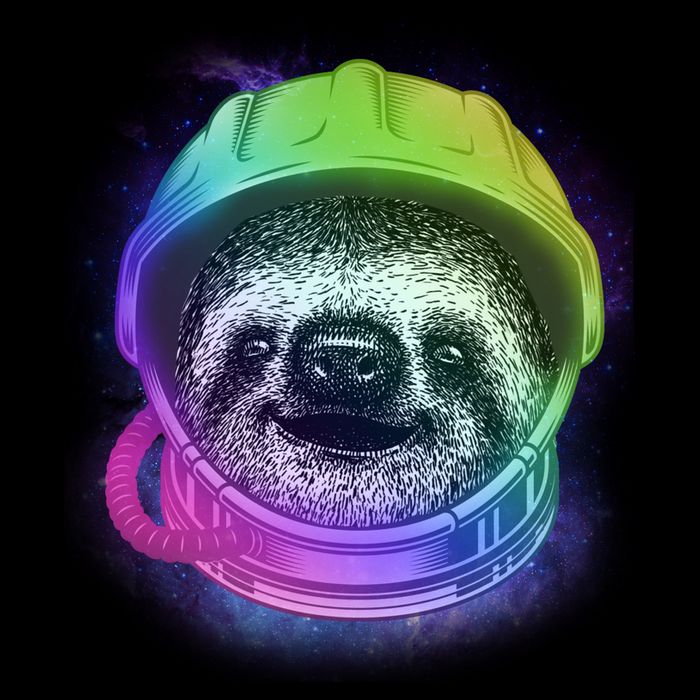 Sloth Spaceman 16 in Basic Backpack
