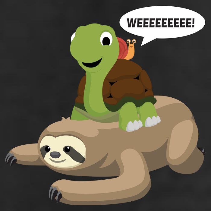 Sloth Turtle Snail Piggyback 12oz Stainless Steel Coffee Mug