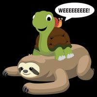 Sloth Turtle Snail Piggyback Wool Snapback Cap