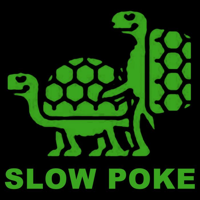 Slow Poke Funny Turtle Apron