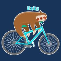 Slow Rider Funny Sloth Flatbill Hat