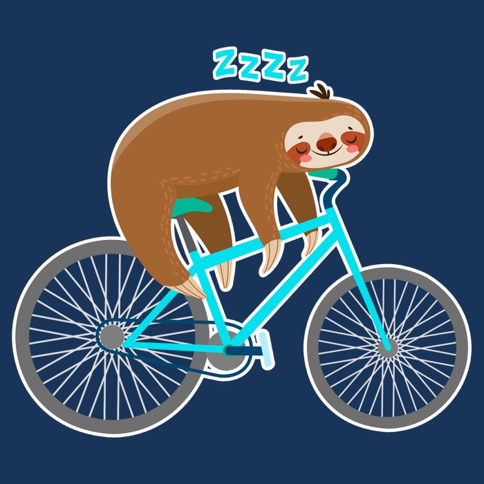 Slow Rider Funny Sloth Flatbill Hat