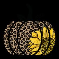 Sunflower Leopard Pumpkin Kids Colorblock Raglan Jersey