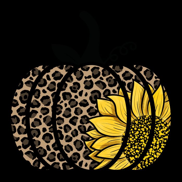 Sunflower Leopard Pumpkin Kids Colorblock Raglan Jersey
