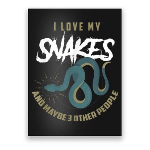 Snake Lover Pet Snake Owner Funny Snake Gift Poster