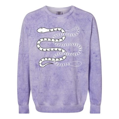 Snake Lover Reptile Fans Herpetologist Ophiologist Ophiology Colorblast Crewneck Sweatshirt